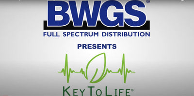BWGS -- Key To Life Molasses Magic