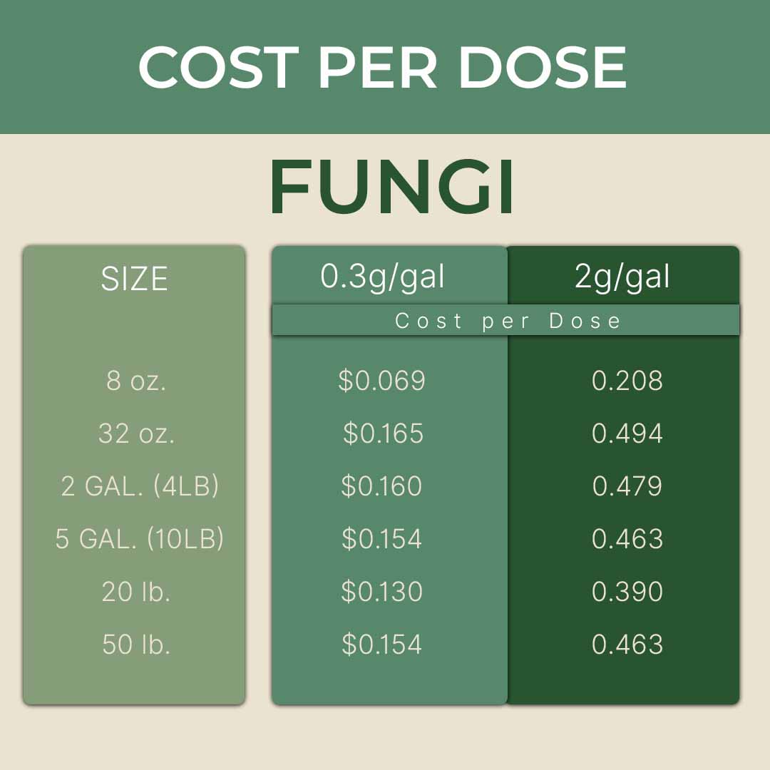 product info
