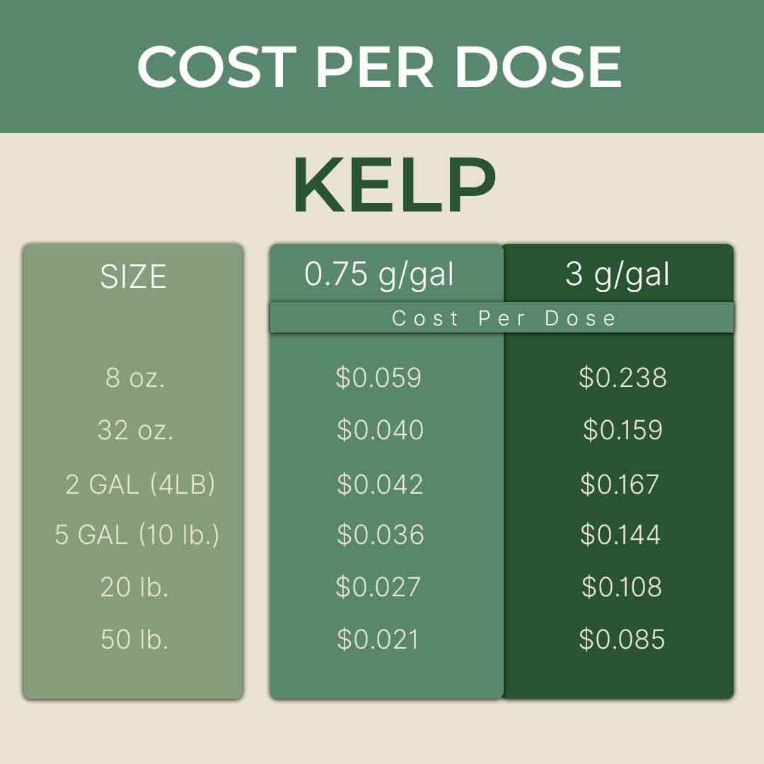 product info