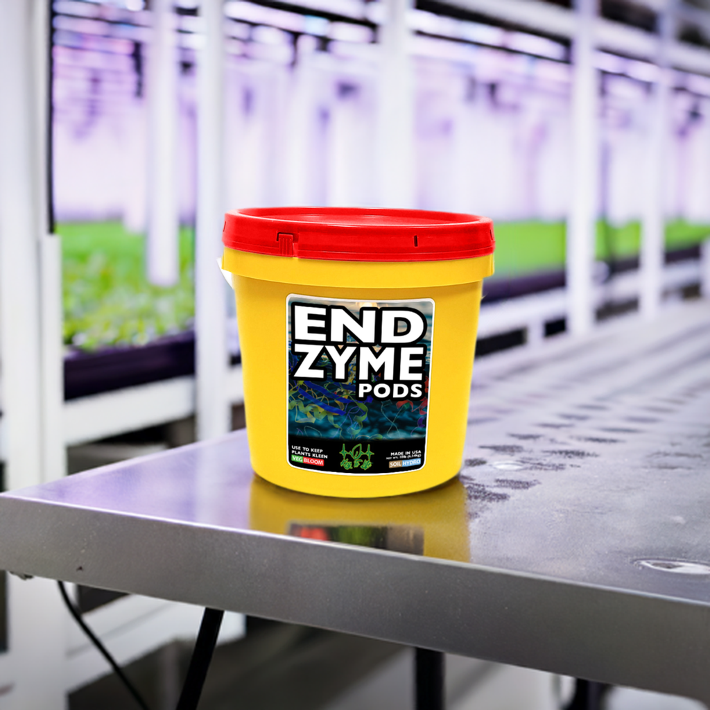 トリートメント kaicozy Endzyme Pods – Key To Life