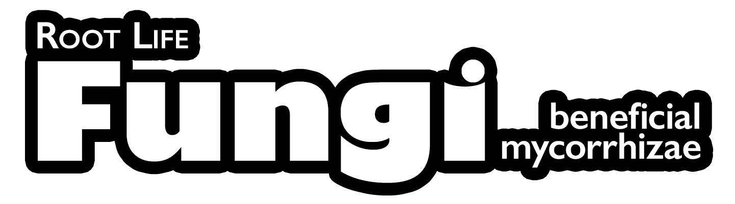 product header img