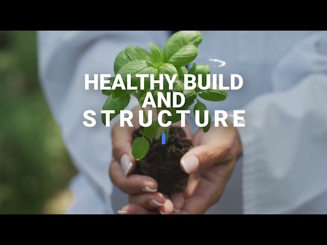 Get Your Plants Growing Healthy with CalNoMag!