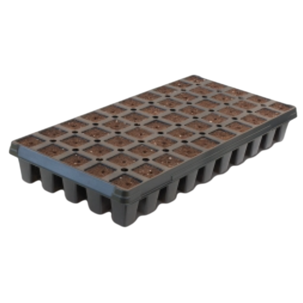 Coco Blocks – Key To Life