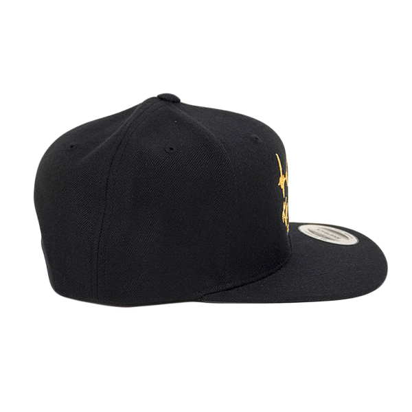 Black &amp; Gold Hat