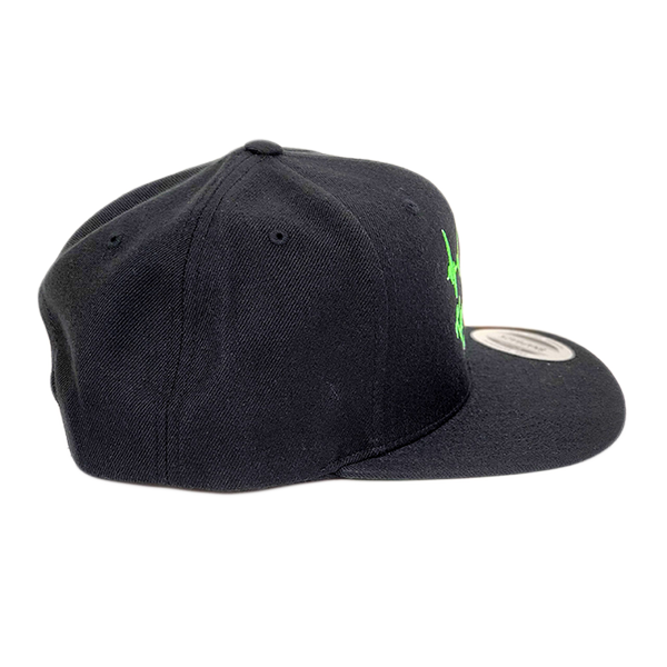 Black &amp; Green Hat