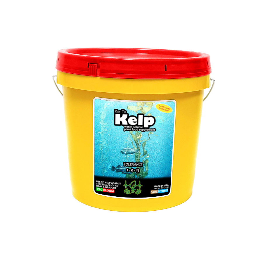 Key to Kelp